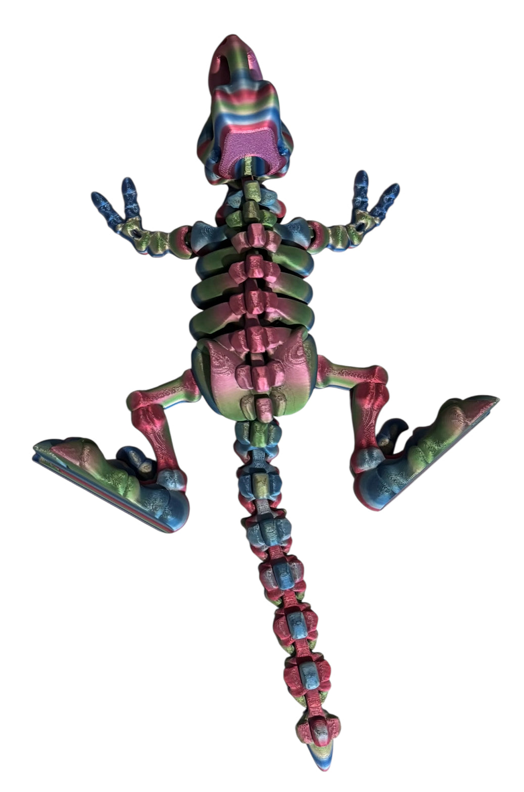 3D printed 10" Flexi T-Rex Skeleton - Rainbow 06