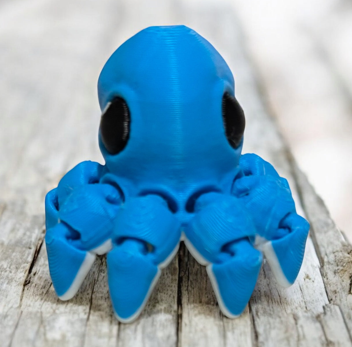 Octopus Hatchling
