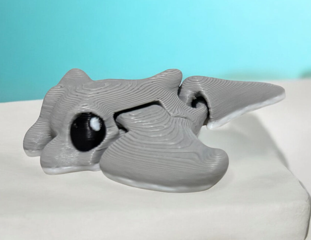 Manta Ray Hatchling