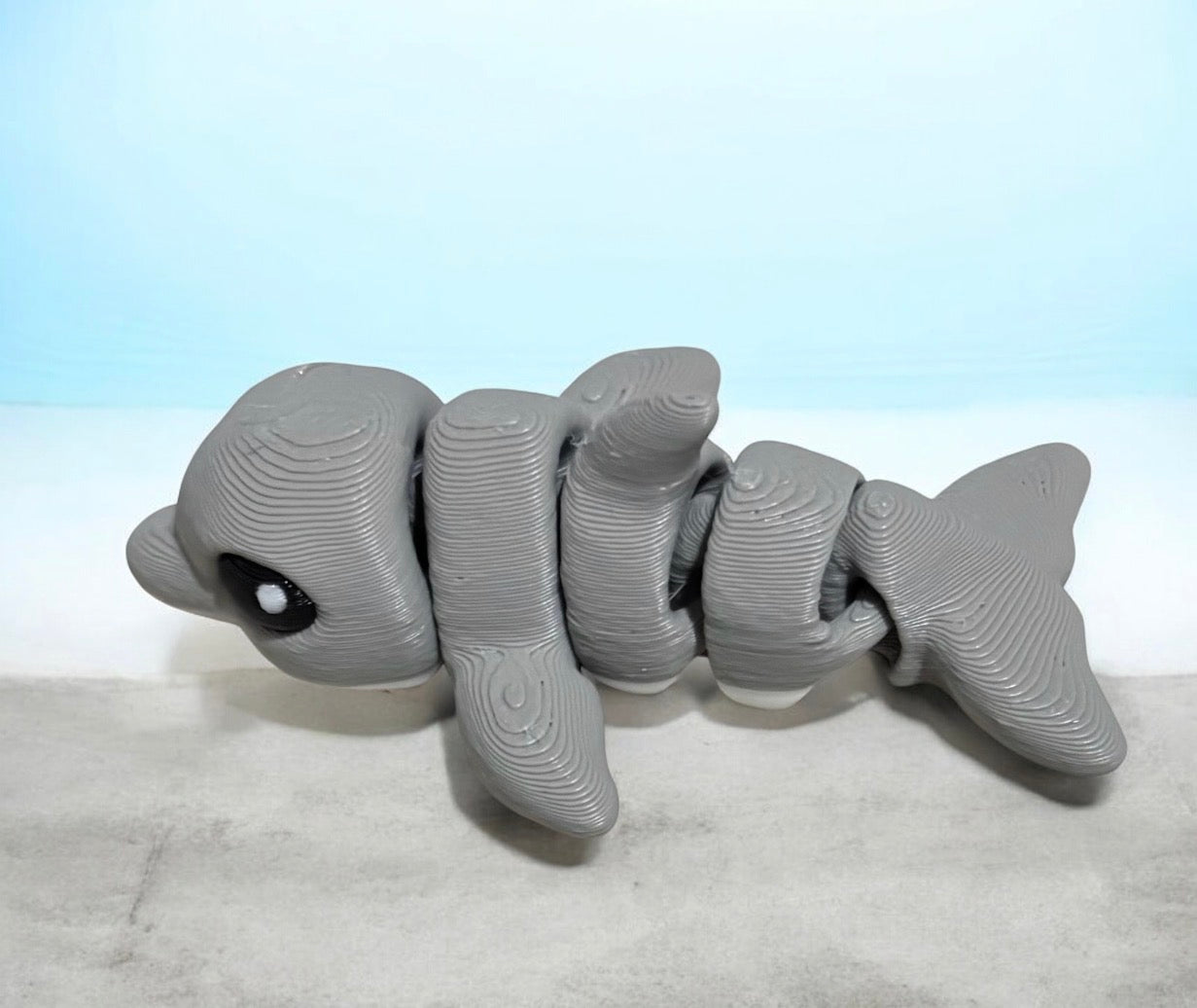 Dolphin Hatchling