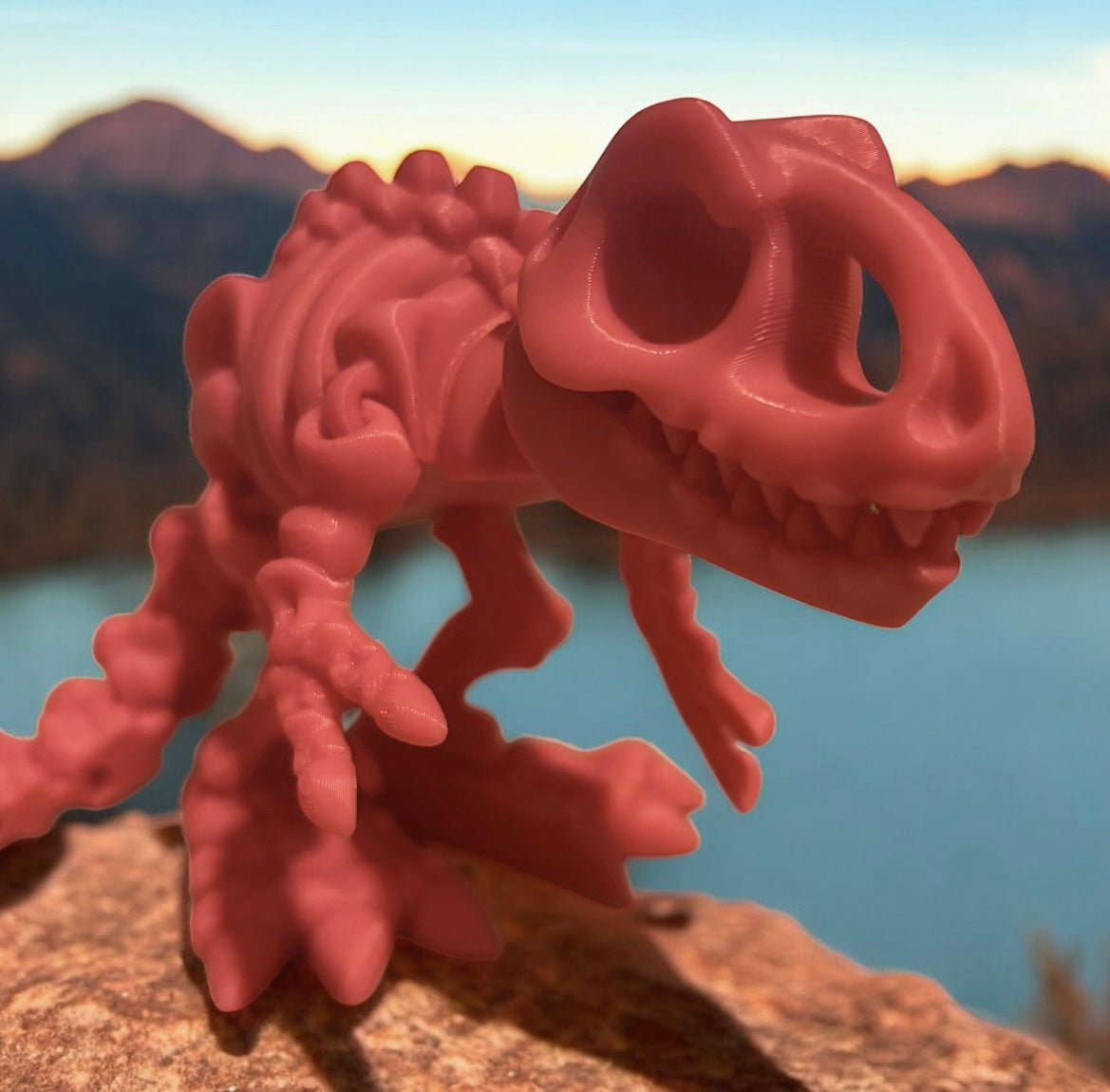 3D printed 10" Flexi T-Rex Skeleton - Pale Pink