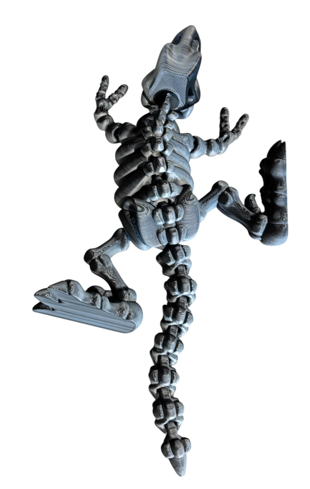 3D printed 10" Flexi T-Rex Skeleton - Black/White