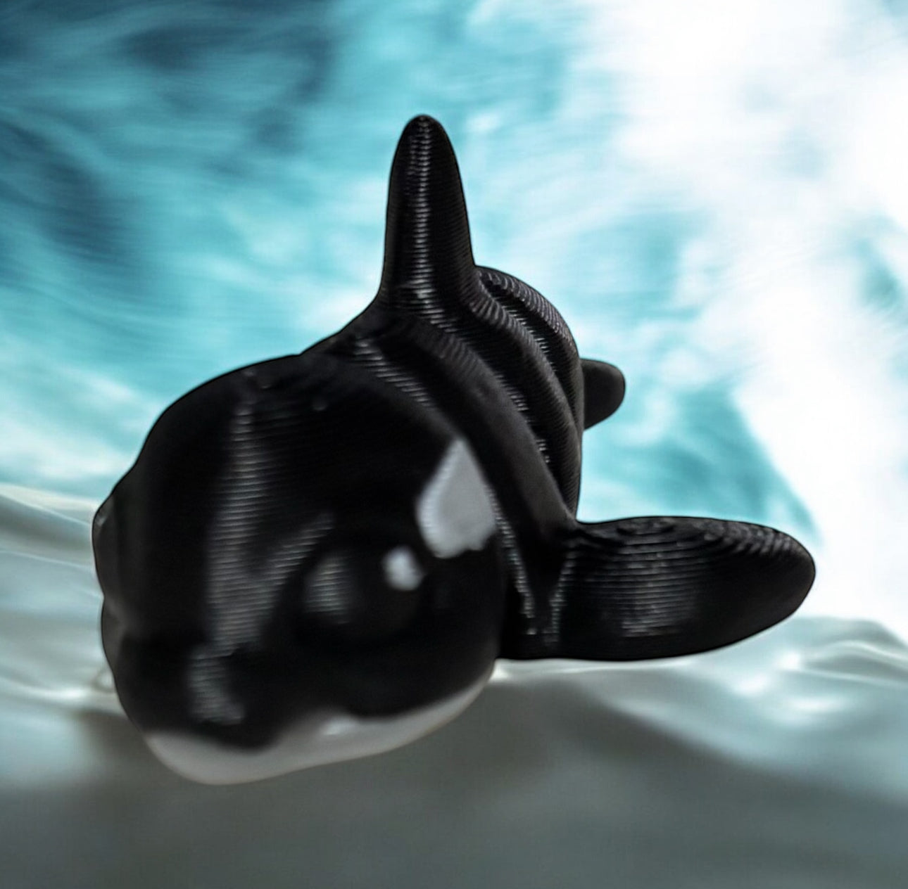 Orca Hatchling-black/white