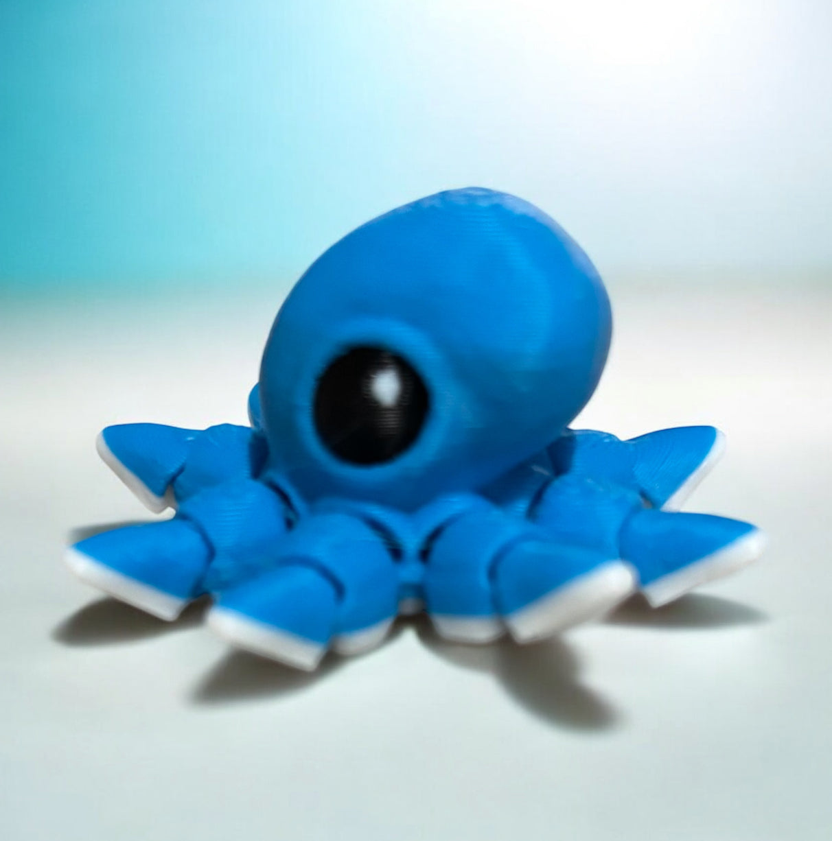 Octopus Hatchling