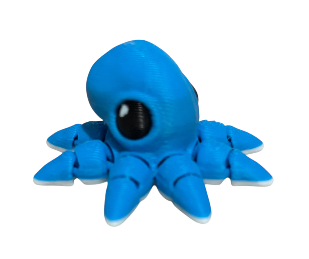 Octopus Hatchling
