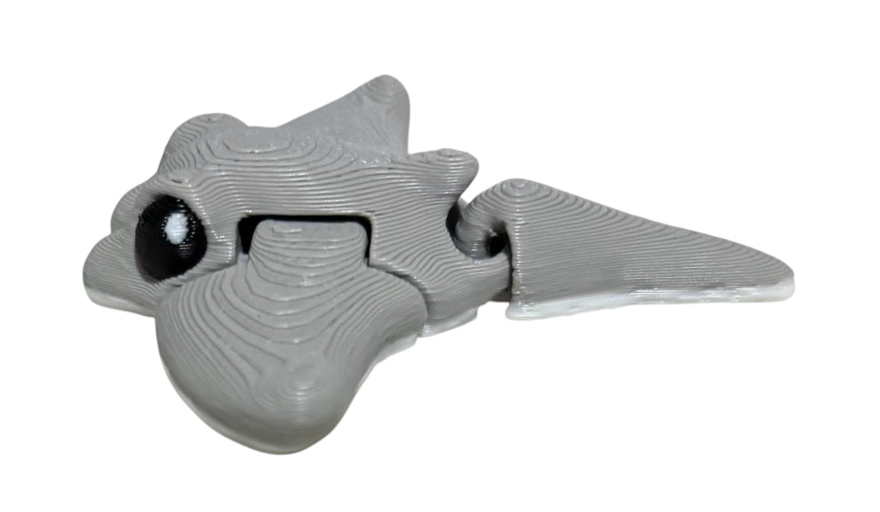 Manta Ray Hatchling