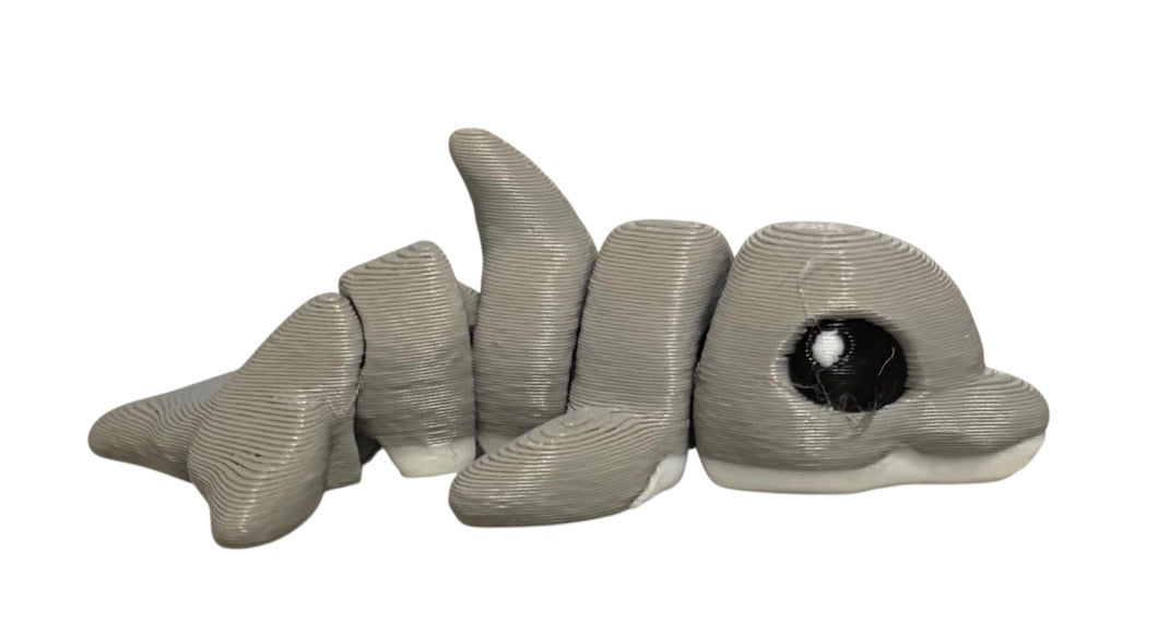 Dolphin Hatchling