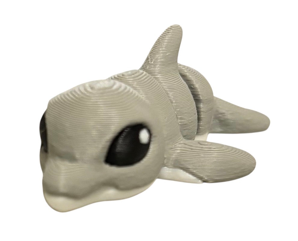 Dolphin Hatchling