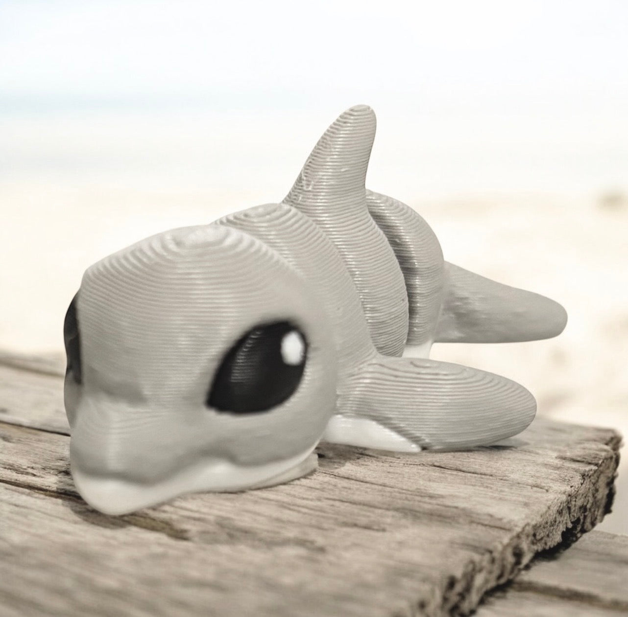 Dolphin Hatchling
