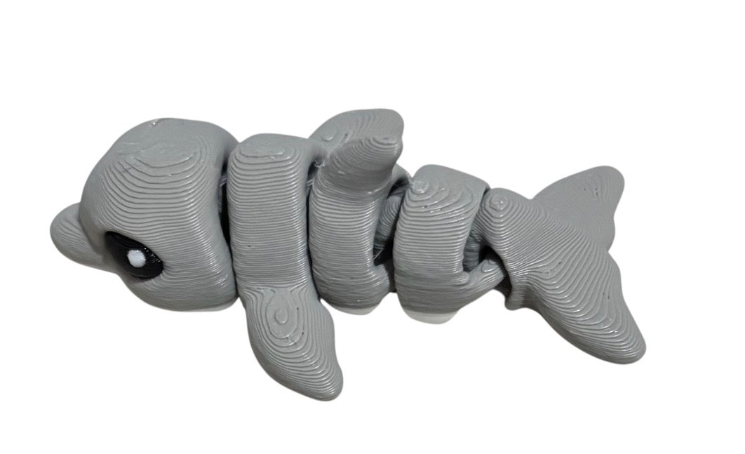Dolphin Hatchling