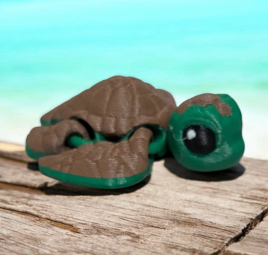 Sea Turtle Hatchling - Green,Brown