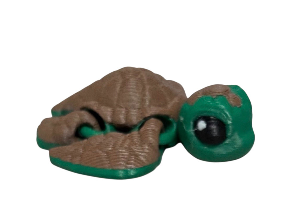 Sea Turtle Hatchling - Green,Brown