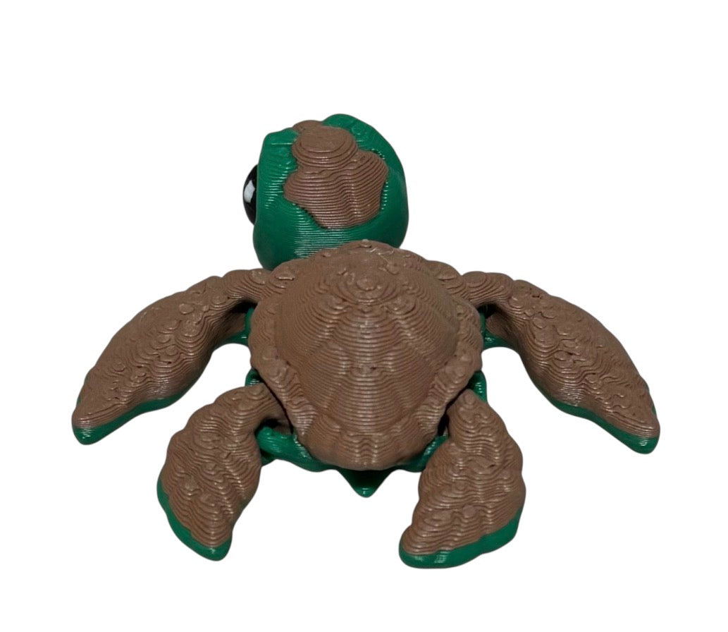 Sea Turtle Hatchling - Green,Brown