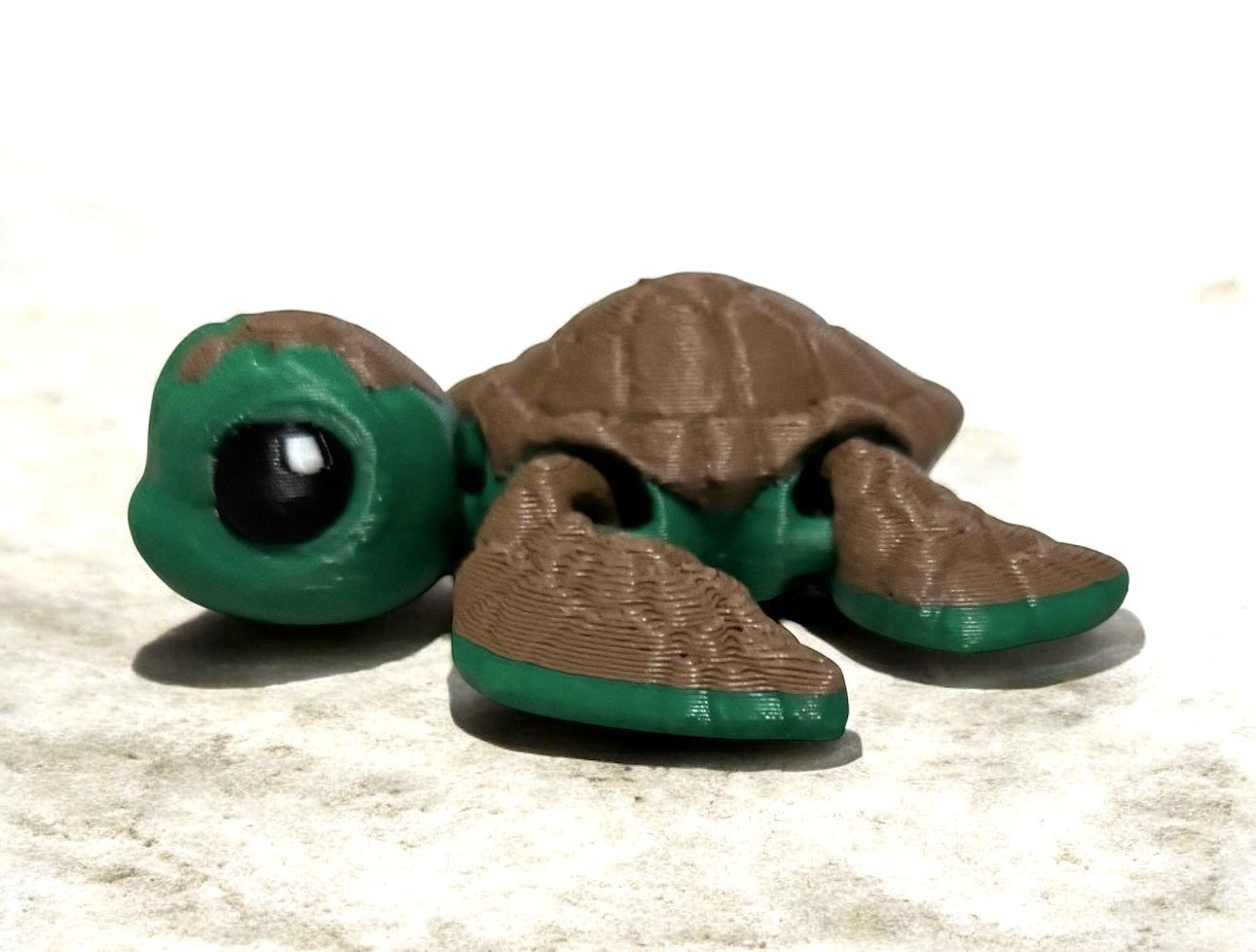 Sea Turtle Hatchling - Green,Brown