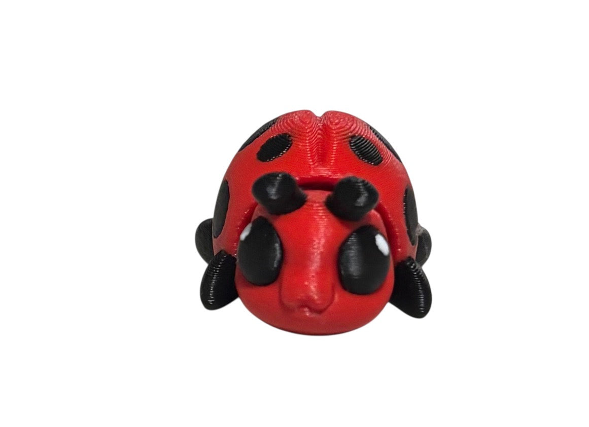 Lady Bug Beetle Hatchling (Copy)