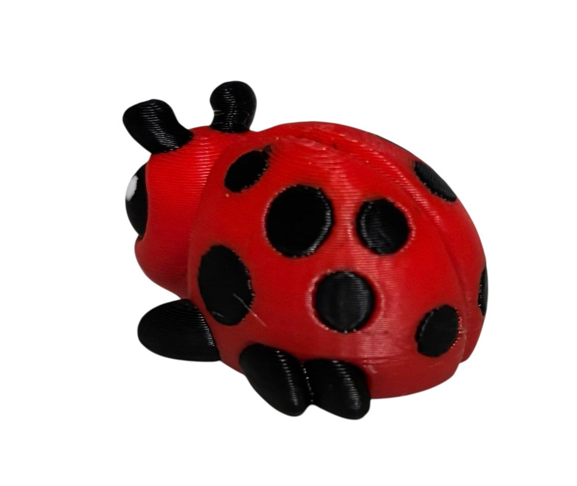 Lady Bug Beetle Hatchling (Copy)
