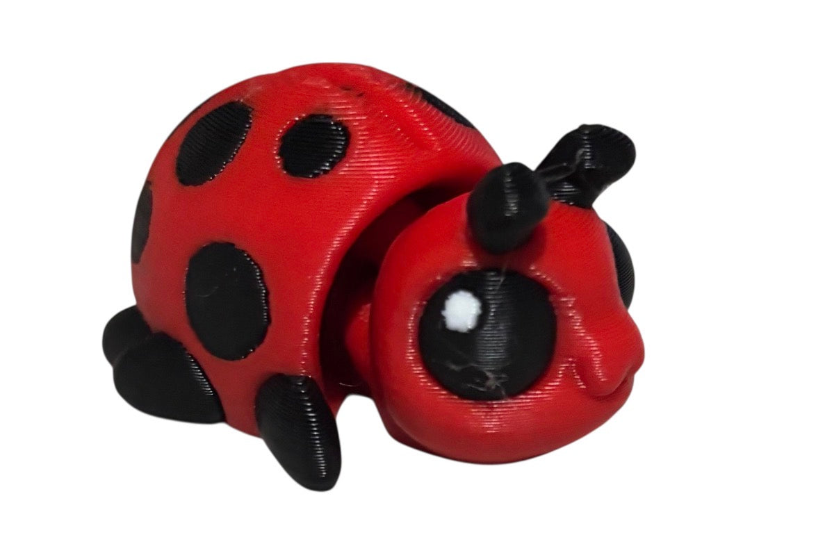 Lady Bug Beetle Hatchling (Copy)