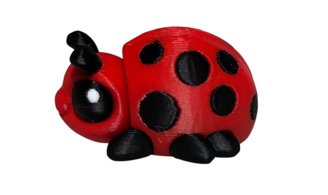Lady Bug Beetle Hatchling (Copy)