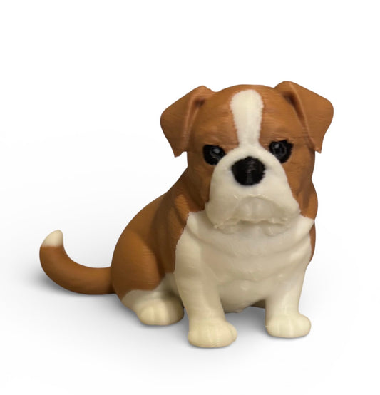 Bulldog Mini-Brown/white