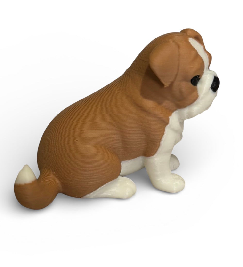 Bulldog Mini-Brown/white